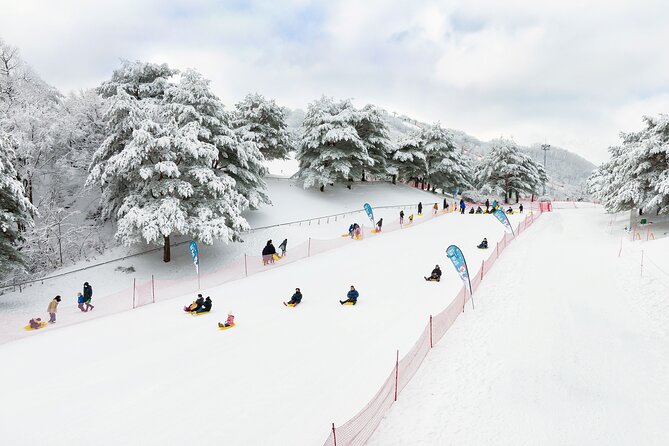 Strawberry Picking, Winter Sled with Eobi Ice Valley from Seoul - Is $79.05 Good Value for This Seoul Winter Combo?