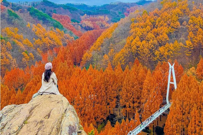 Suwon Hwaseong Fortress & Jangtaesan Full-Day Tour: Autumn Leaves - Guides who make it feel local: Mac and JUN’s kind extras