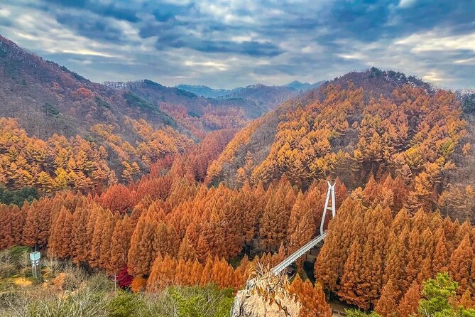Suwon Hwaseong Fortress & Jangtaesan Full-Day Tour: Autumn Leaves - Price and value: what $59.57 covers (and what it doesn’t)