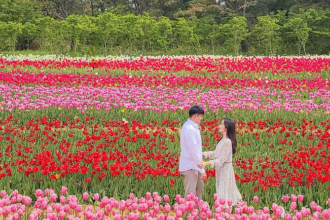 Taean Tulip Festival and Strawberry Picking Day Tour from Seoul - Key points before you go