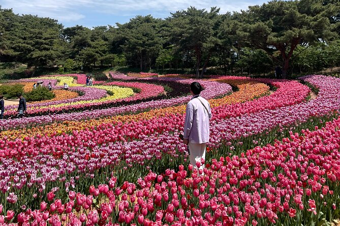 Taean Tulip Festival and Strawberry Picking Day Tour from Seoul - Strawberry Picking at 해미읍성딸기와인: How to Make It Worth the Effort
