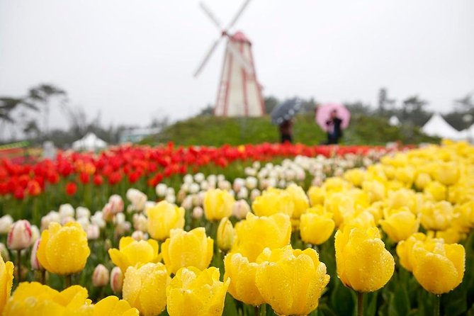 Taean Tulip Festival and Strawberry Picking Day Tour from Seoul - Who This Tour Fits Best (and Who Might Want Something Different)