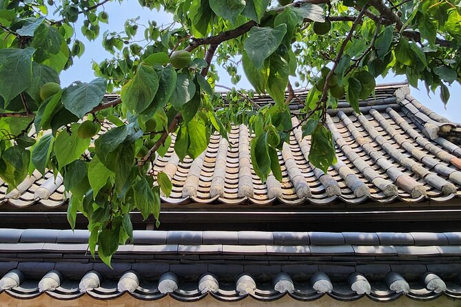 Traditional Gourmet - House of Baek Inje: A Preserved Hanok With a Real Story