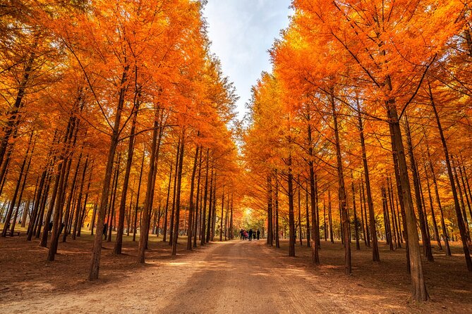 Trip to Nami Island with Petite France & Italian Village, Garden of Morning Calm - Getting to Nami Island the easy way (and how to enjoy the 3.5-hour window)