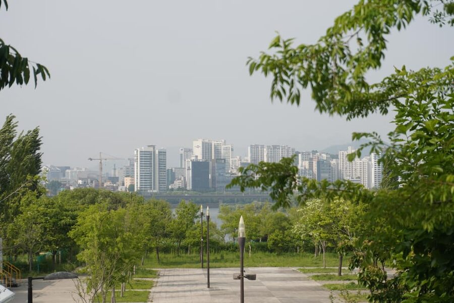 Unique Native Experience : Han River Picnic, Board game, BBQ - Key Things I’d Tell a Friend