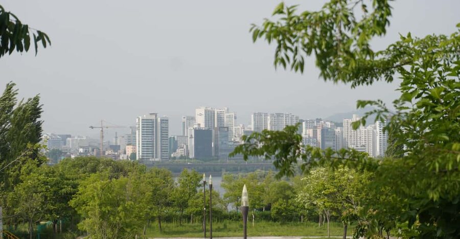 Unique Native Experience : Han River Picnic, Board game, BBQ - Why This 3-Hour Seoul Experience Feels Human