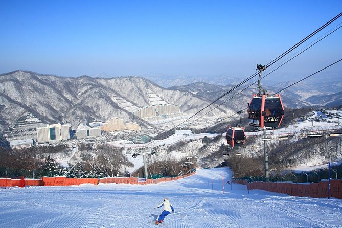 Vivaldi Park Winter Ski Resort with Nami Island Tour from Seoul - Key Points You’ll Care About