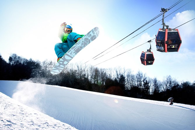 Vivaldi Park Winter Ski Resort with Nami Island Tour from Seoul - Price and Logistics: What You’re Paying For (and What You’re Not)