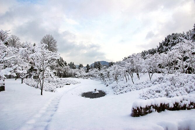 Vivaldi Park Winter Ski Resort with Nami Island Tour from Seoul - Should You Book This Vivaldi Park and Nami Island Tour?