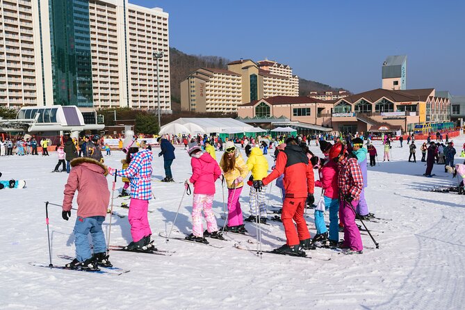 Vivaldi Park Winter Ski with Eobi Ice Valley Day Tour from Seoul - Vivaldi Park Ski World: Gear, Lessons, and a 6-Hour Winter Game Plan