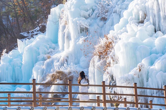 Vivaldi Park Winter Ski with Eobi Ice Valley Day Tour from Seoul - Snowyland Sledding and Gondola Options for Non-Skiers