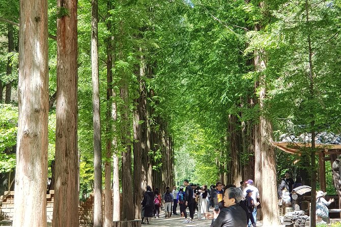 Winter Sonata TV Tour on Nami Island from Seoul - Seoul to Nami Island: the day starts early, then slows for scenery