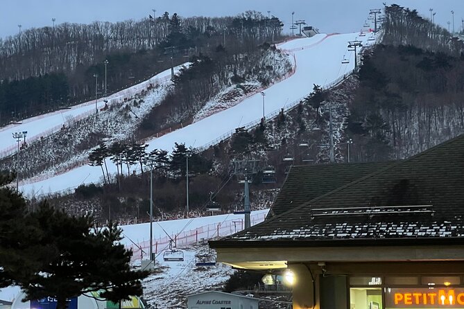 Yongpyong Ski Resort from Seoul with Optional Lesson and Packages - Key highlights you’ll actually care about