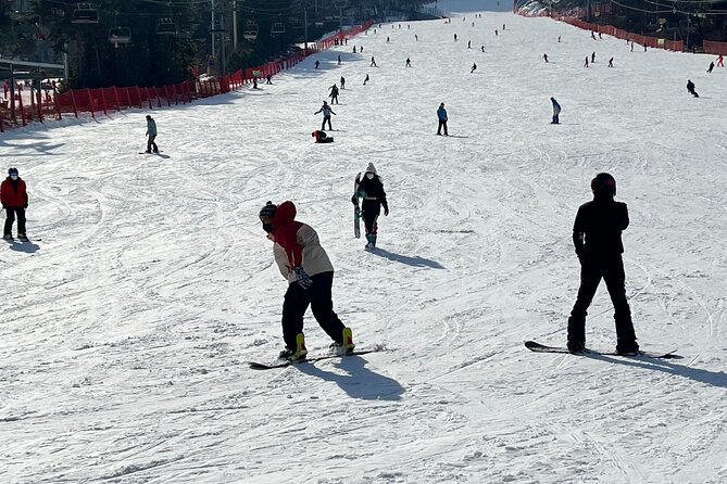 Yongpyong Ski Resort from Seoul with Optional Lesson and Packages - What the day feels like: timing, where you save, and where costs pop up